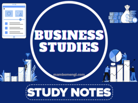 Business Studies Notes Form One – All Topics